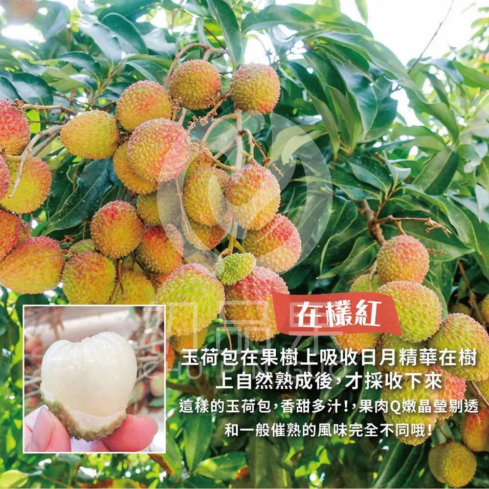 玉荷包禮盒3斤32mm-35mm