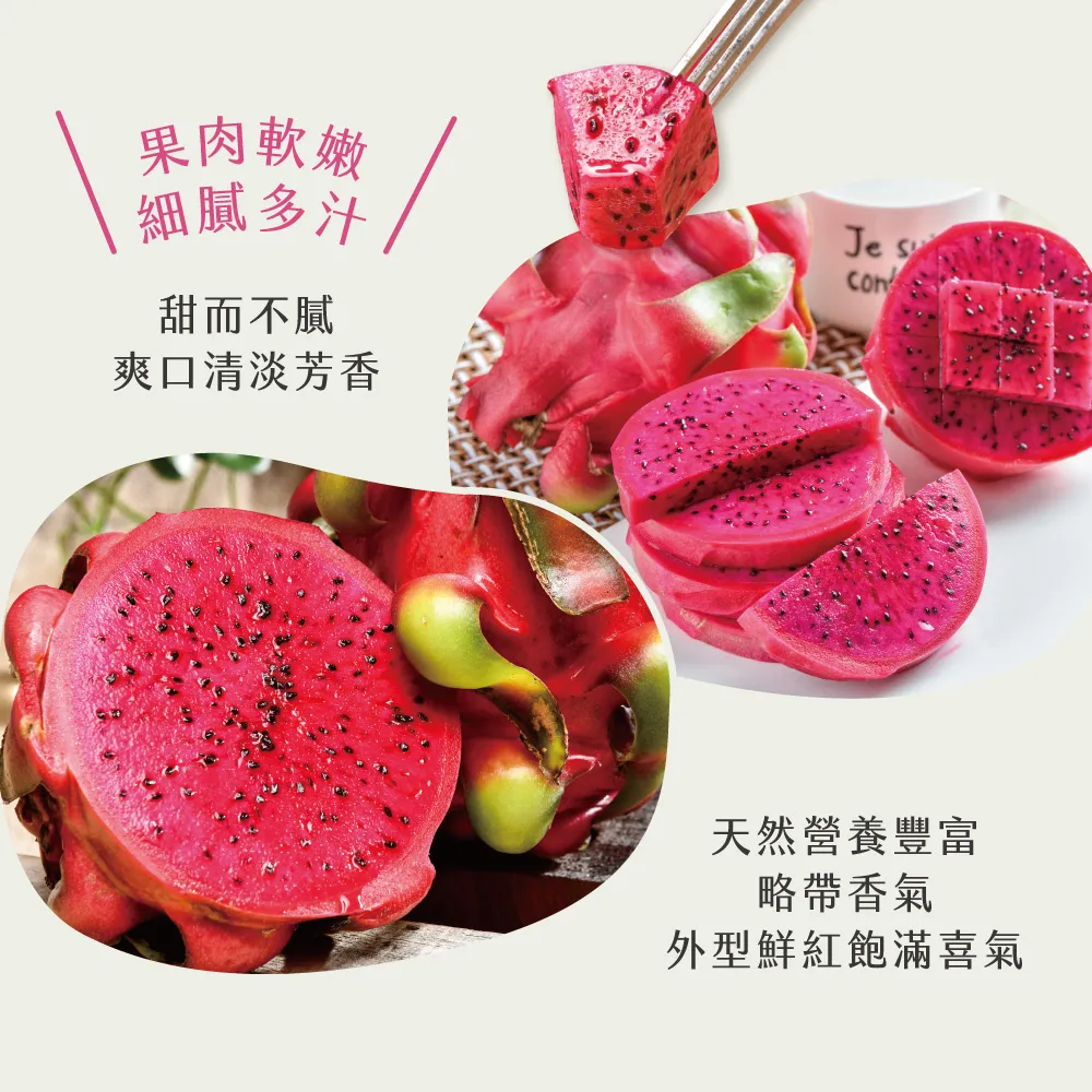 產地直送紅肉火龍果禮盒
