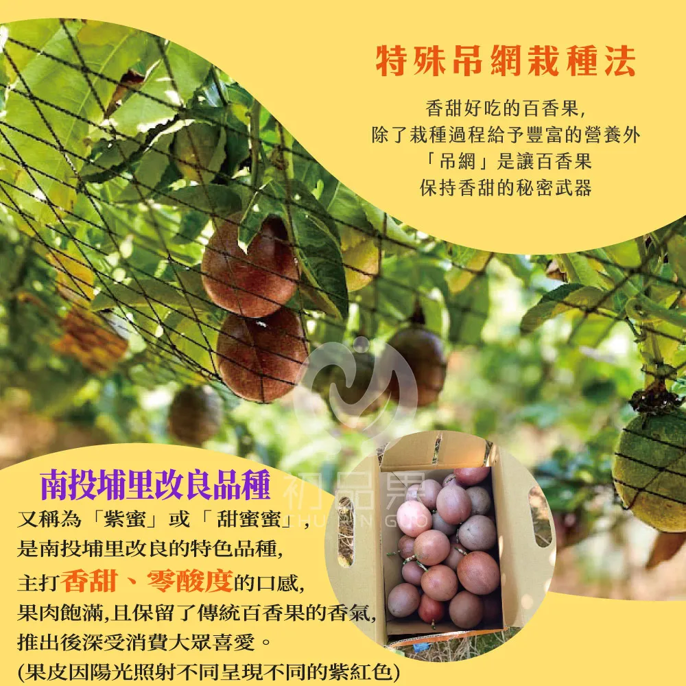 南投埔里百香果禮盒5斤     A級/AA級  1盒/2盒/4盒  預購07/01~開始陸續出貨