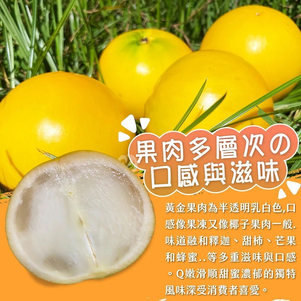 【產季結束 敬請期待】台東知本黃金果禮盒