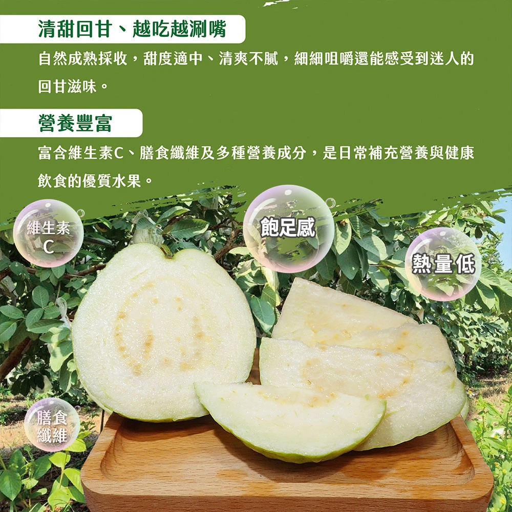 #楊忠憲芭樂沒有脆 屏東枋山青農楊忠憲珍珠芭樂禮盒(冷藏配送)-預購8/21開始陸續出貨