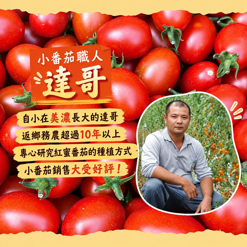 高雄美濃雙色橙蜜小番茄禮盒3斤  1盒/2盒/4盒/8盒 預購12/15開始陸續出貨