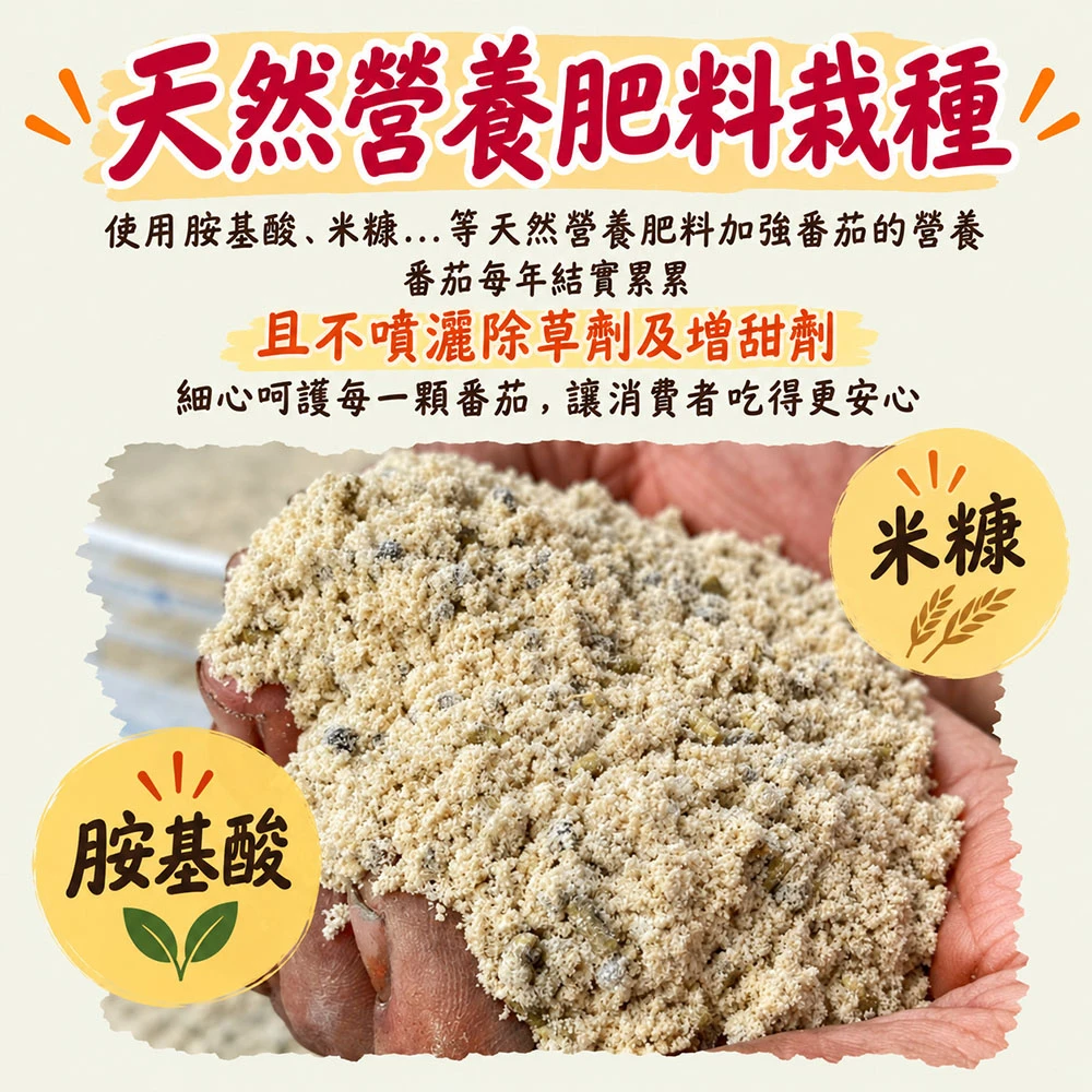 高雄美濃橙蜜香小番茄禮盒3斤  1盒/2盒/4盒/8盒   預購12/15開始陸續出貨