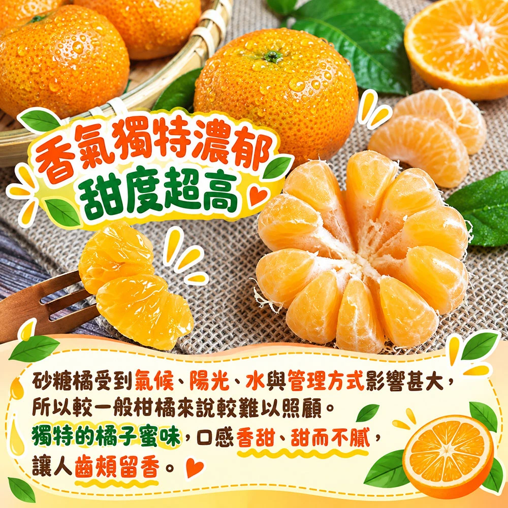 苗栗蕉埔砂糖橘禮盒3斤 1盒/2盒/4盒/8盒  預購12/15開始陸續出貨