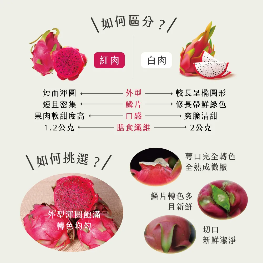 產地直送紅肉火龍果禮盒