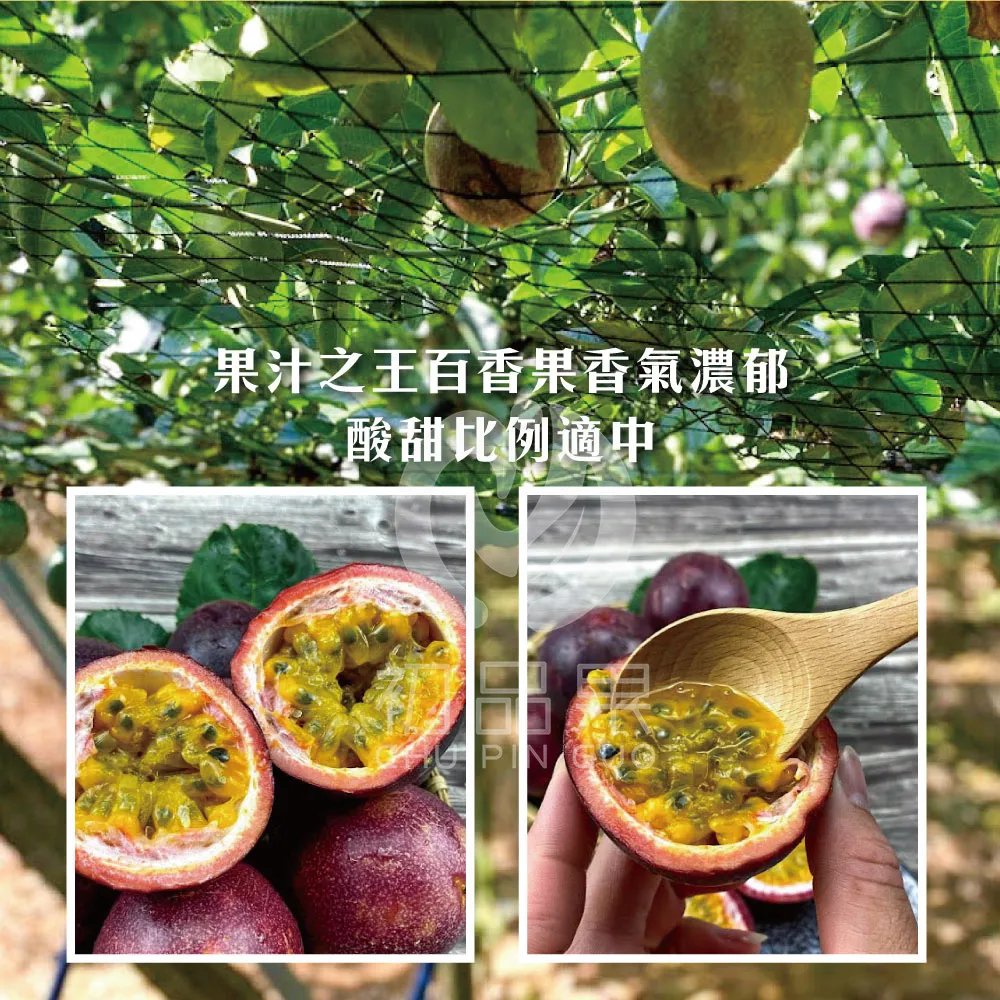 南投埔里百香果禮盒5斤     A級/AA級  1盒/2盒/4盒  預購07/01~開始陸續出貨