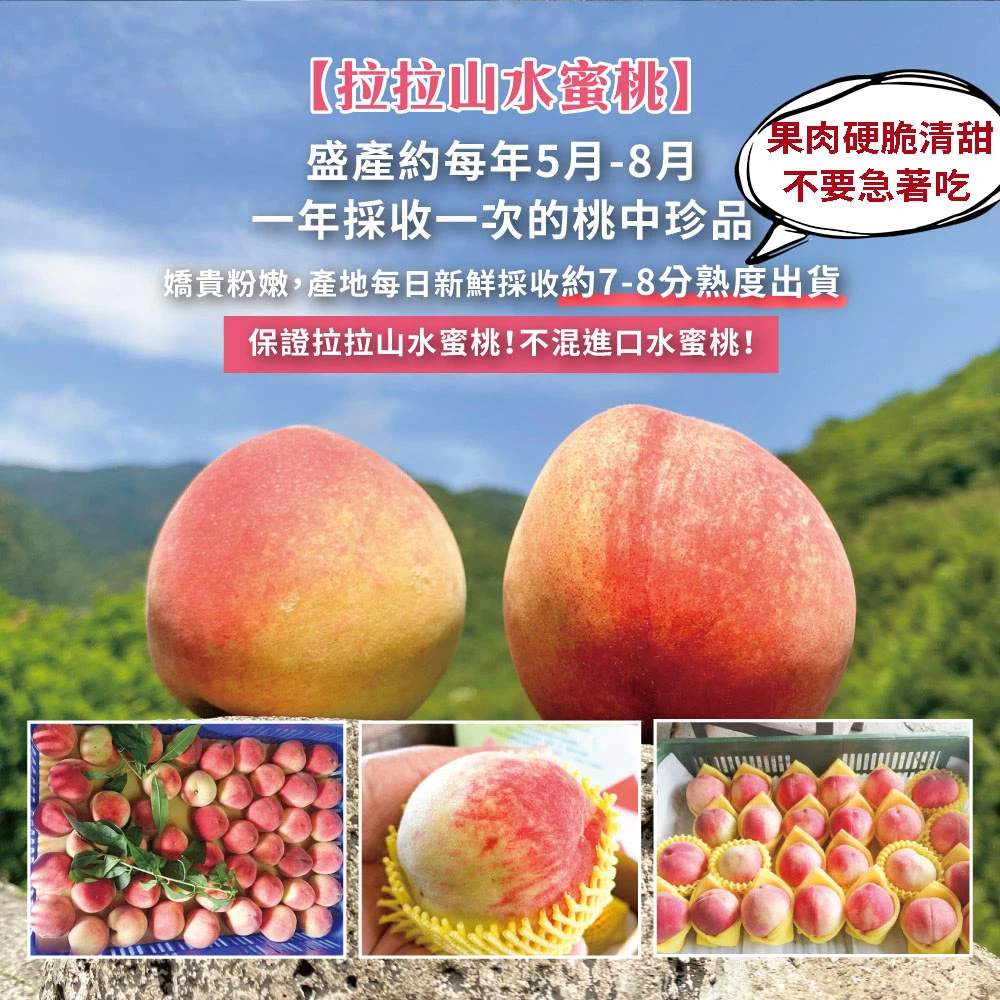 拉拉山上海蜜水蜜桃禮盒-預購D+7工作天出貨 最後接單8/10
