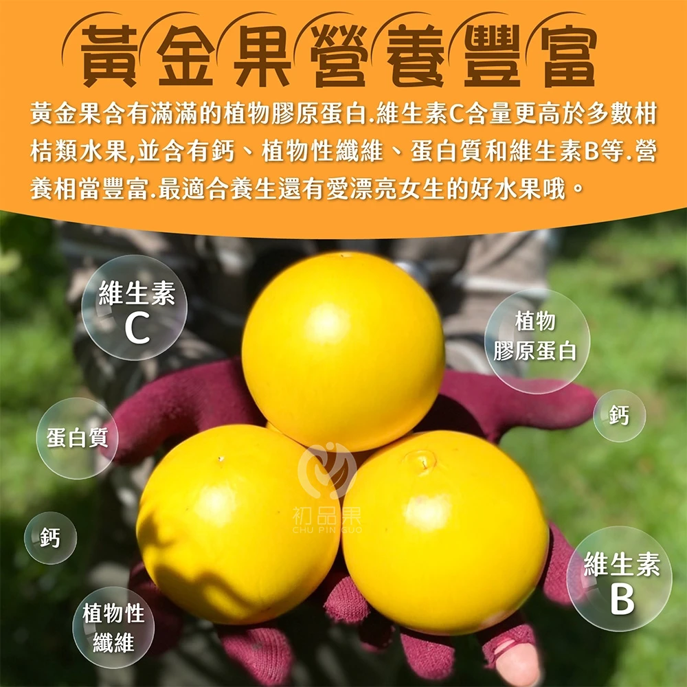 【產季結束 敬請期待】台東知本黃金果禮盒