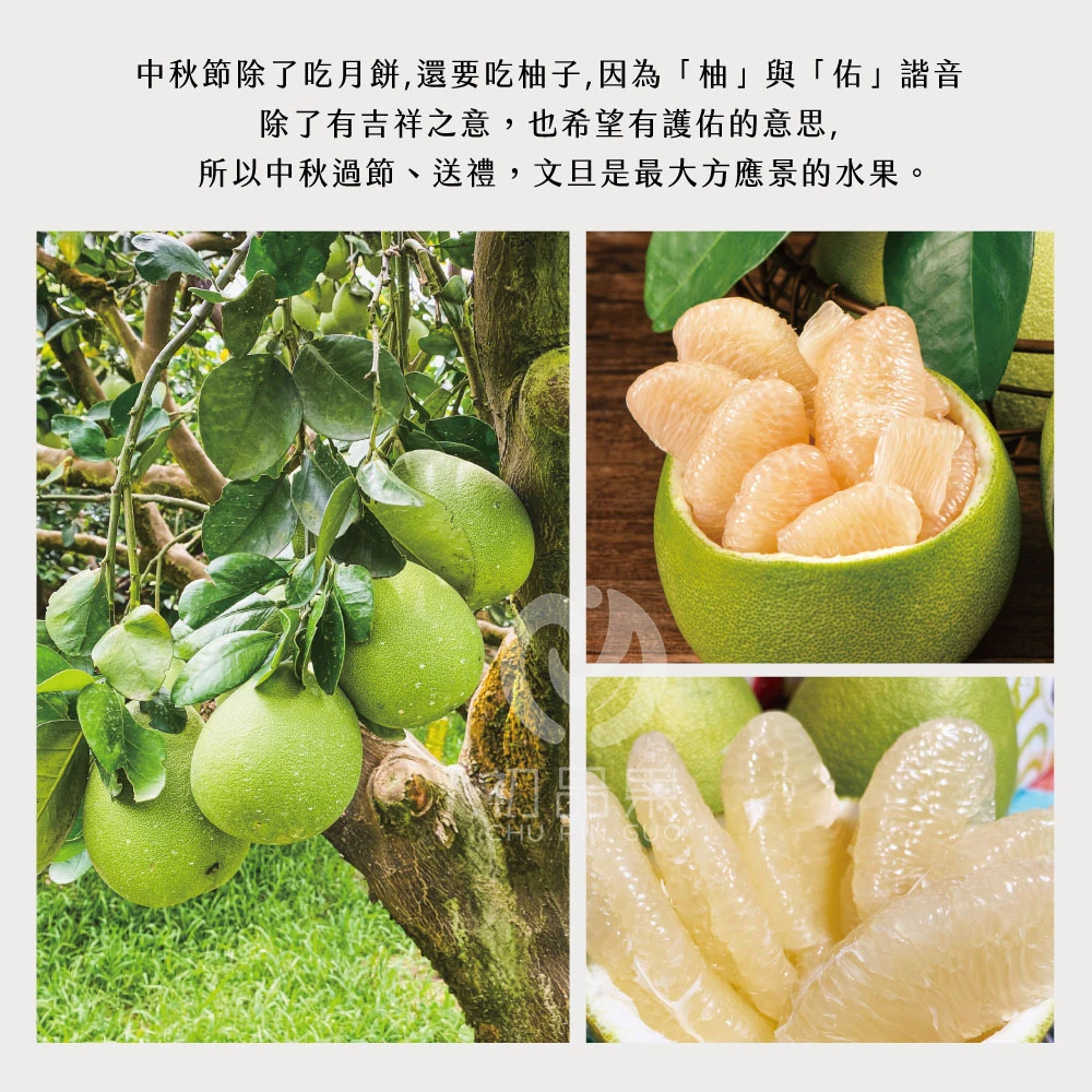 花蓮鶴岡老欉精品文旦禮盒  【歡迎企業大量訂購】-9/1開始陸續出貨