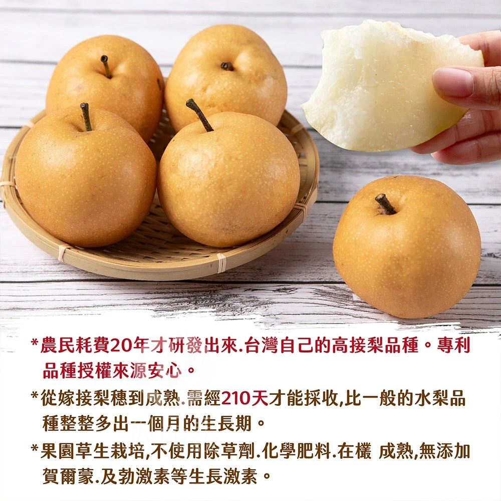 台灣寶島甘露梨禮盒6顆裝/盒 (中秋禮盒/企業送禮/好友揪團/大量訂購) 8/1起開始陸續出貨