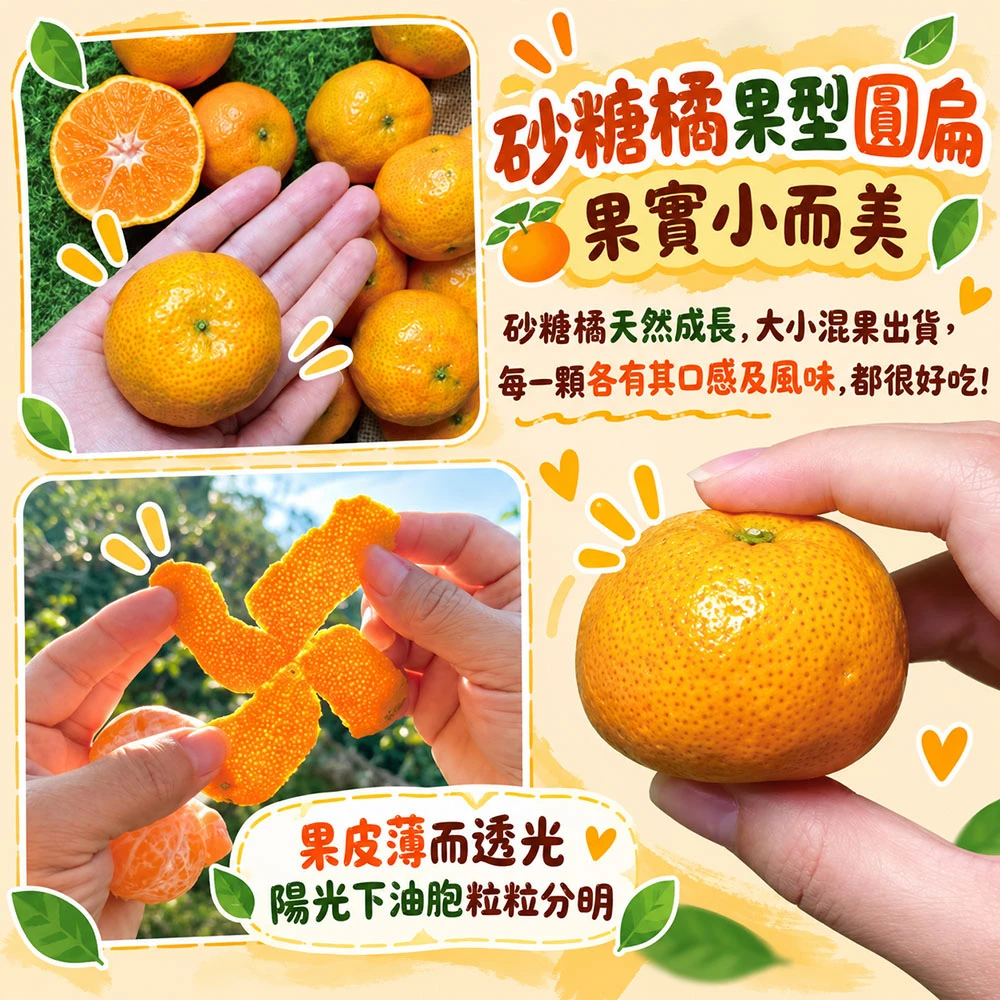 拉拉山砂糖橘禮盒3斤 1盒/2盒/4盒/8盒  預購12/15開始陸續出貨