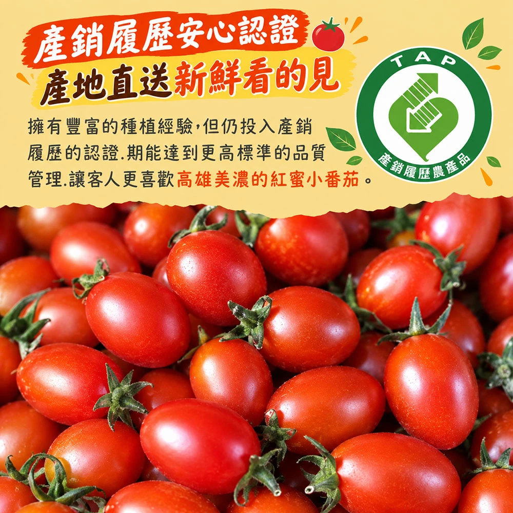 高雄美濃紅蜜小番茄禮盒3斤  1盒/2盒/4盒/8盒 預購12/15開始陸續出貨