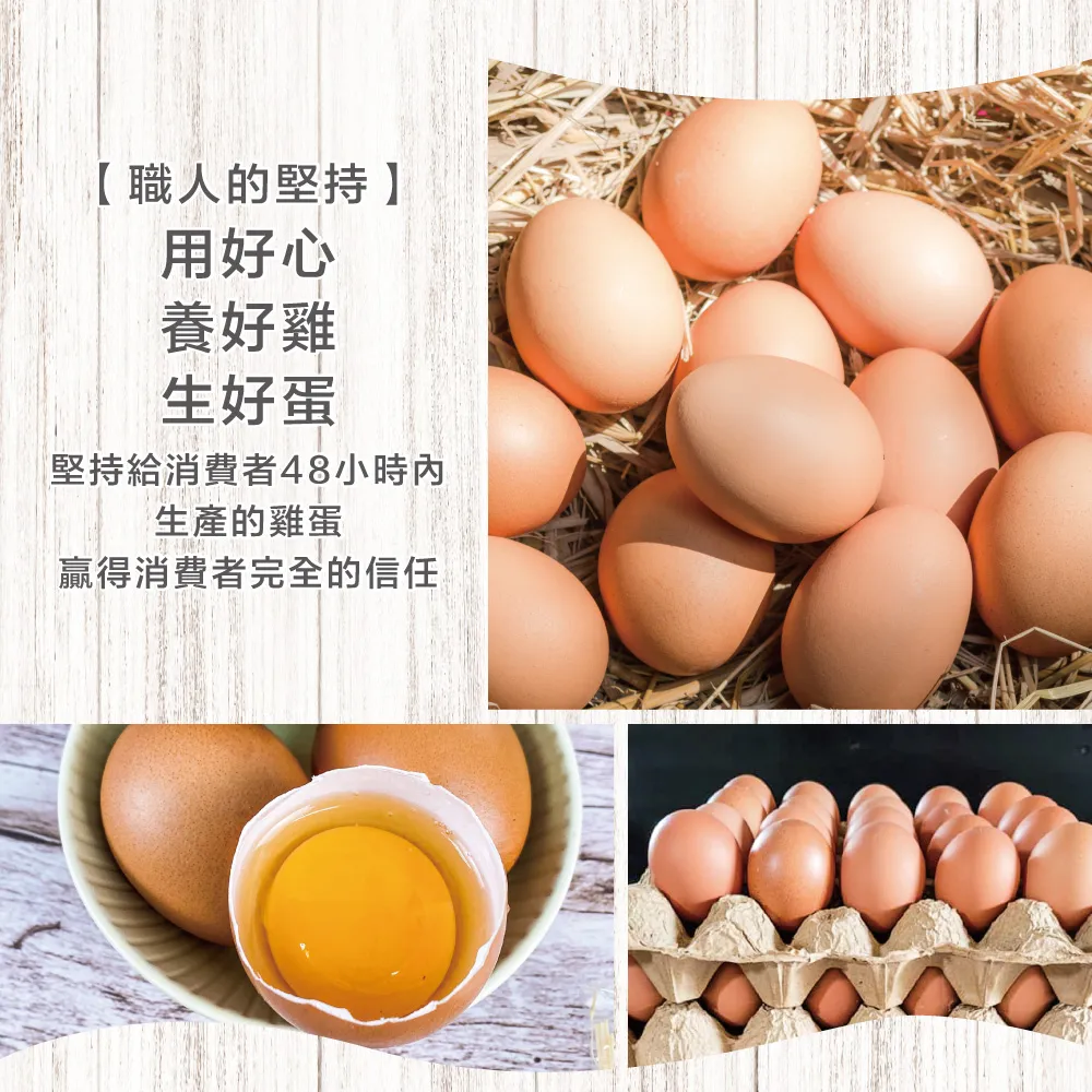 初品果x富立牧場 靈芝機能雞蛋白蛋/紅蛋/彩色蛋/30顆/60顆/90顆_48小時生產內的新鮮雞蛋