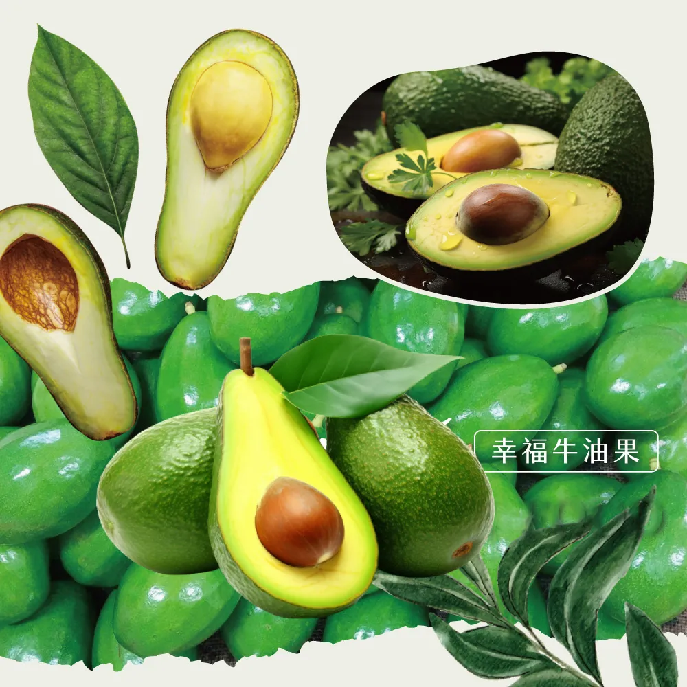 屏東高樹鮮採酪梨禮盒 5斤