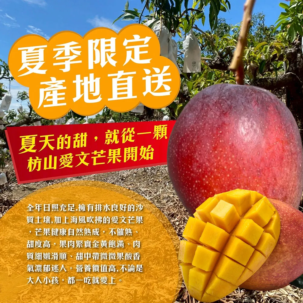 與獼猴和平共存的芒果【猴仔抓芒果】屏東枋山愛文芒果禮盒  4斤/8斤 (6/8-6/15陸續出貨)
