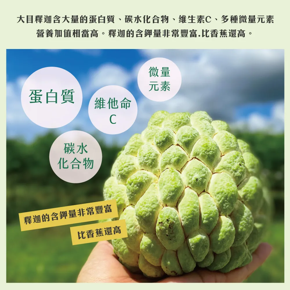 【降價挺一波】台東知本大目釋迦禮盒 下單後D+7工作天出貨