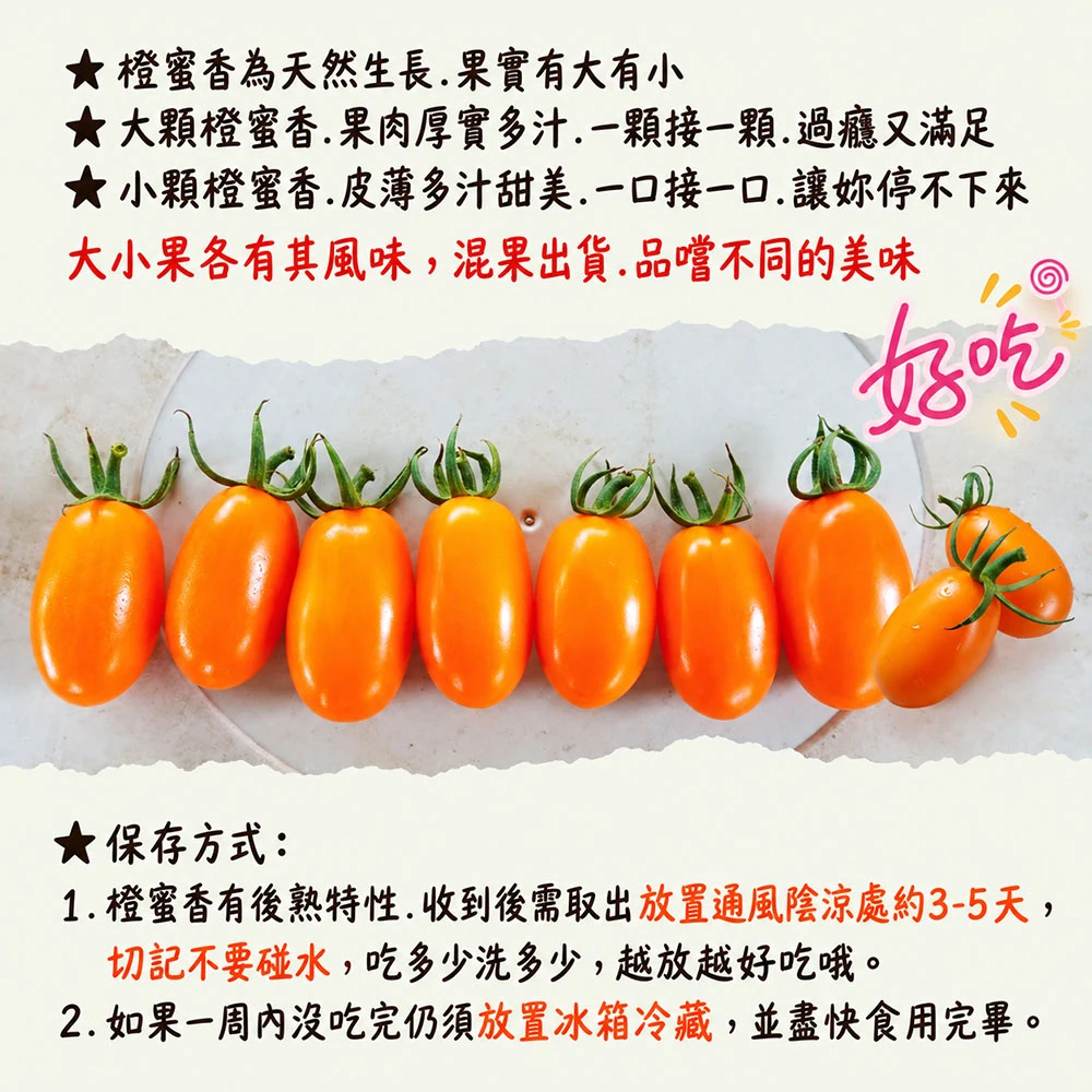 高雄美濃橙蜜香小番茄禮盒4斤  1盒/2盒/4盒/6盒  預購12/15開始陸續出貨