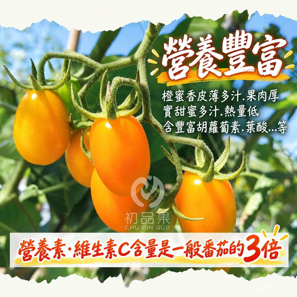 高雄美濃橙蜜香小番茄禮盒3斤  1盒/2盒/4盒/8盒   預購12/15開始陸續出貨
