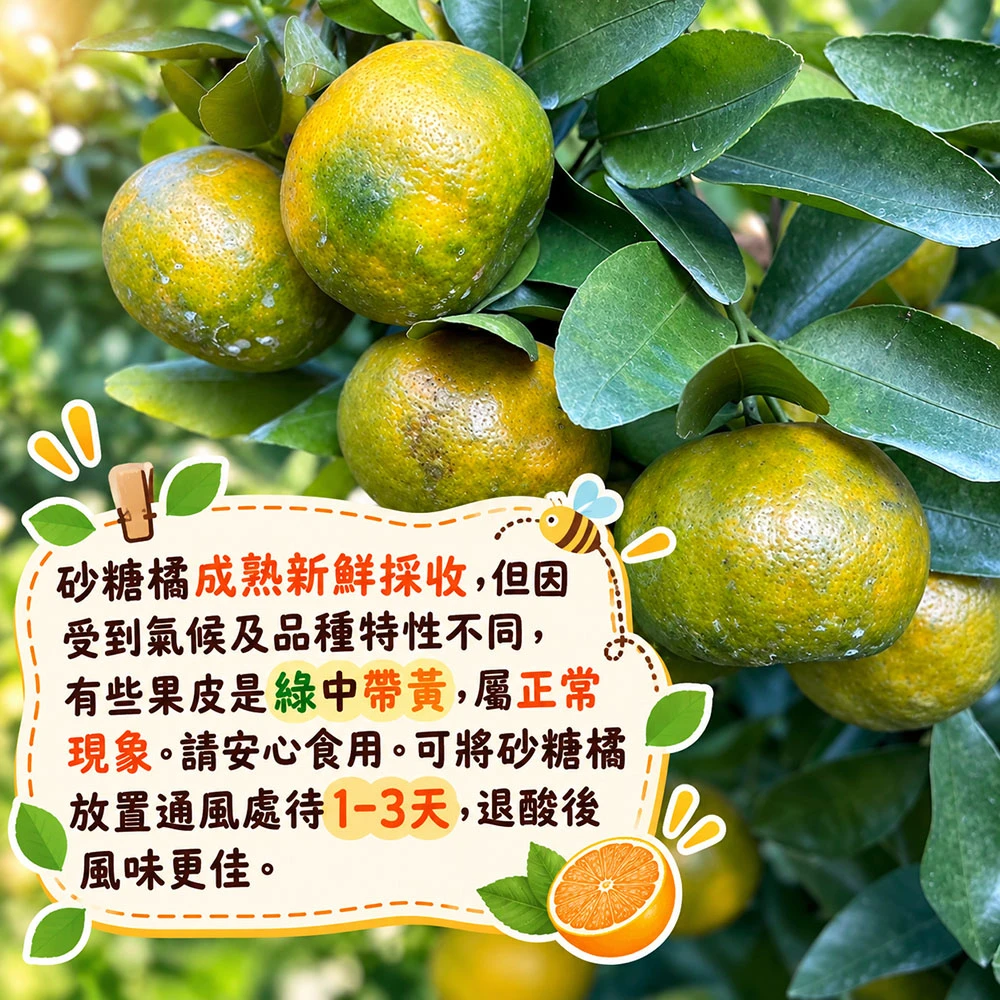 拉拉山砂糖橘禮盒3斤 1盒/2盒/4盒/8盒  預購12/15開始陸續出貨
