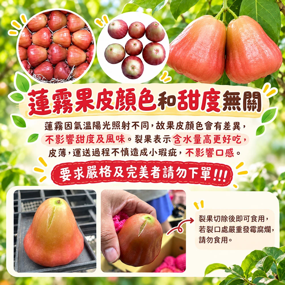 屏東枋寮黑珍珠蓮霧禮盒 3斤/4斤  1盒/2盒/3盒/4盒 預購12/15開始陸續出貨