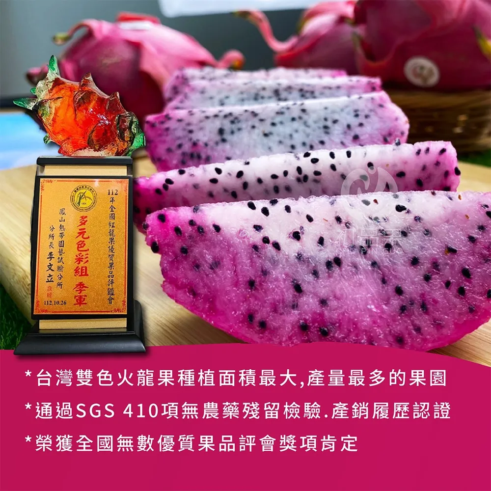 南投夢幻雙色火龍果6斤/10斤_如冰淇淋般甜蜜口感(預購6/10起開始陸續出貨)