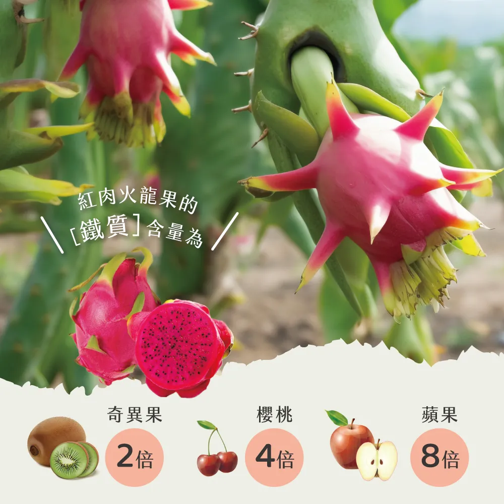 產地直送紅肉火龍果禮盒