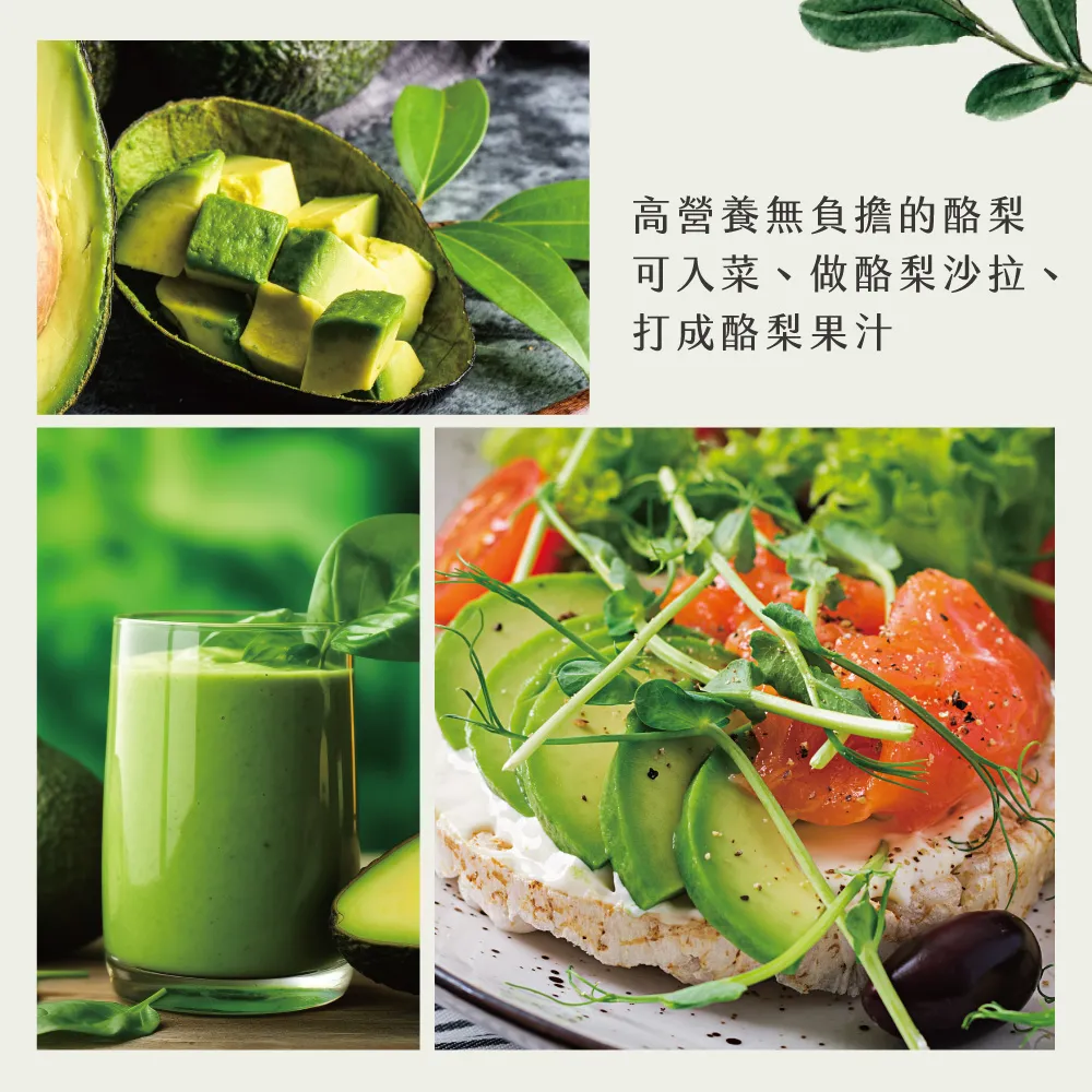 屏東高樹鮮採酪梨禮盒 5斤