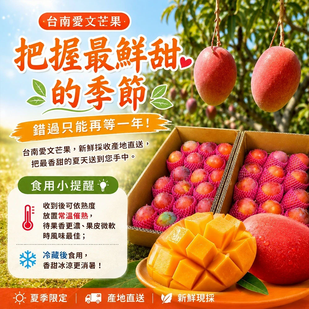 產地直送台南愛文芒果含箱10斤  18-24顆/12-16顆  1箱/2箱
