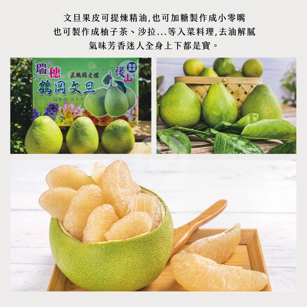 花蓮鶴岡老欉精品文旦禮盒  【歡迎企業大量訂購】-9/1開始陸續出貨