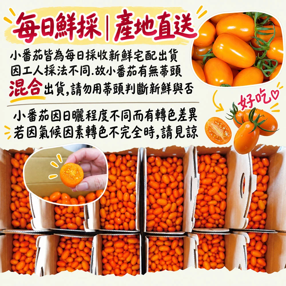 高雄美濃橙蜜香小番茄禮盒4斤  1盒/2盒/4盒/6盒  預購12/15開始陸續出貨