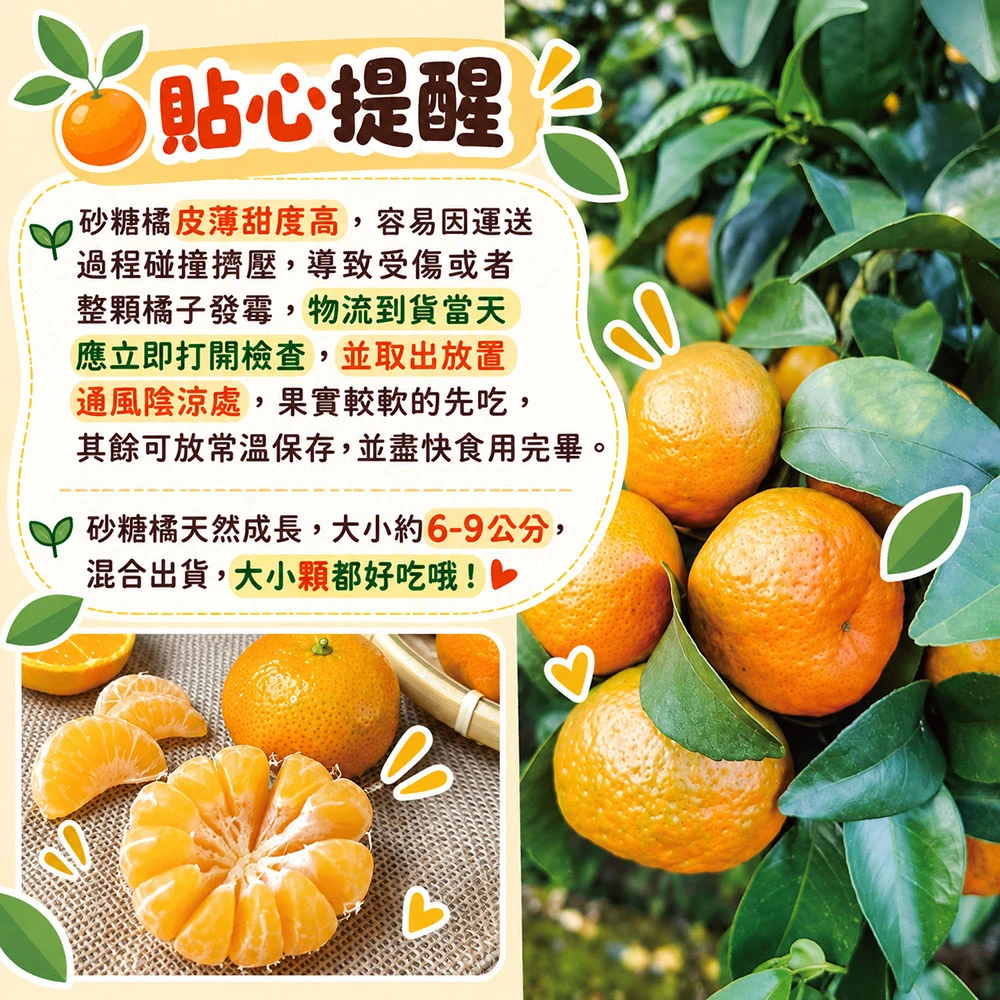 拉拉山砂糖橘禮盒3斤 1盒/2盒/4盒/8盒  預購12/15開始陸續出貨