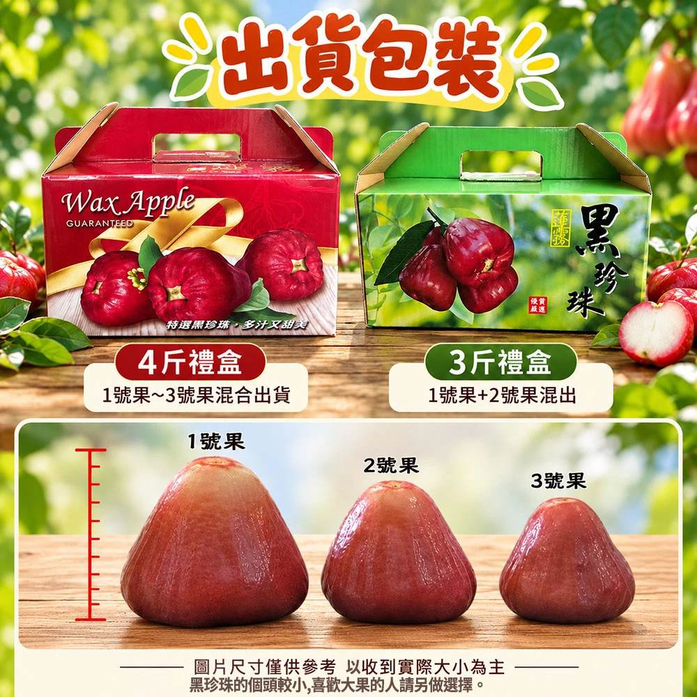 屏東枋寮黑珍珠蓮霧禮盒 3斤/4斤  1盒/2盒/3盒/4盒 預購12/15開始陸續出貨