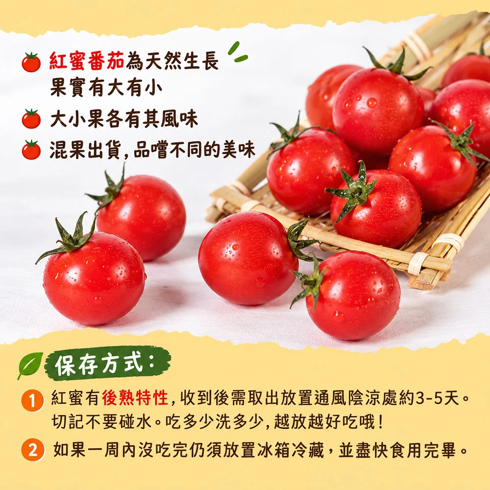 高雄美濃紅蜜小番茄禮盒3斤  1盒/2盒/4盒/8盒 預購12/15開始陸續出貨