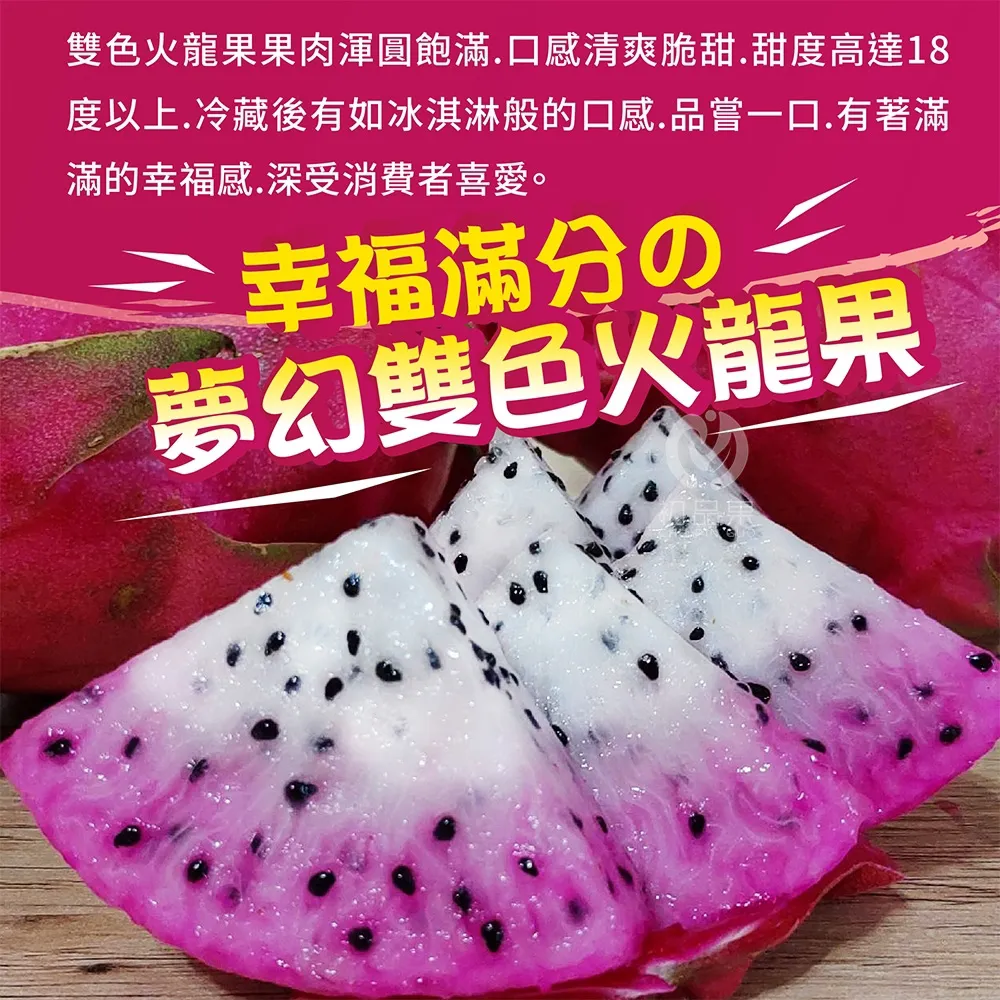 南投夢幻雙色火龍果6斤/10斤_如冰淇淋般甜蜜口感(預購6/10起開始陸續出貨)