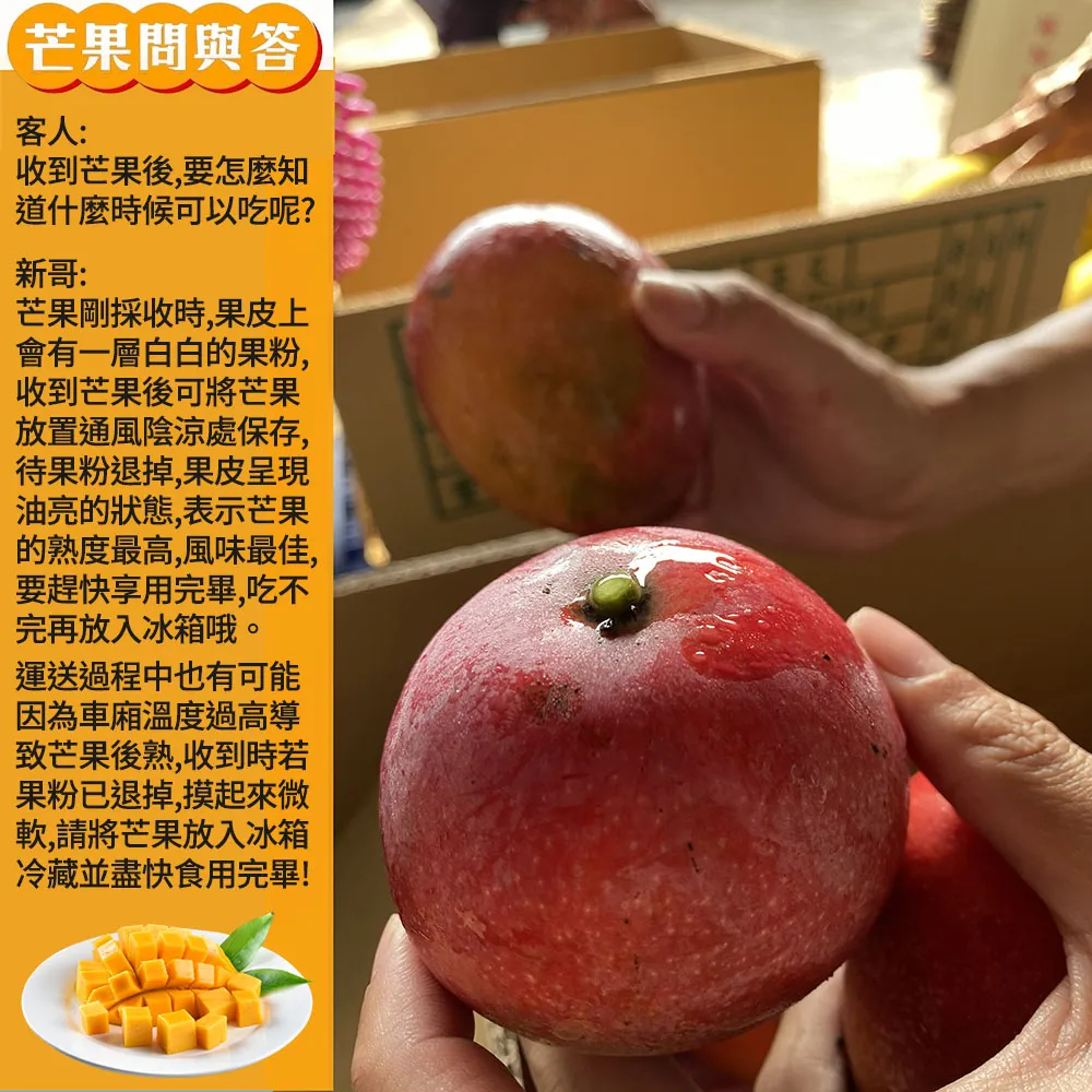 與獼猴和平共存的芒果【猴仔抓芒果】屏東枋山愛文芒果禮盒  4斤/8斤 (6/8-6/15陸續出貨)