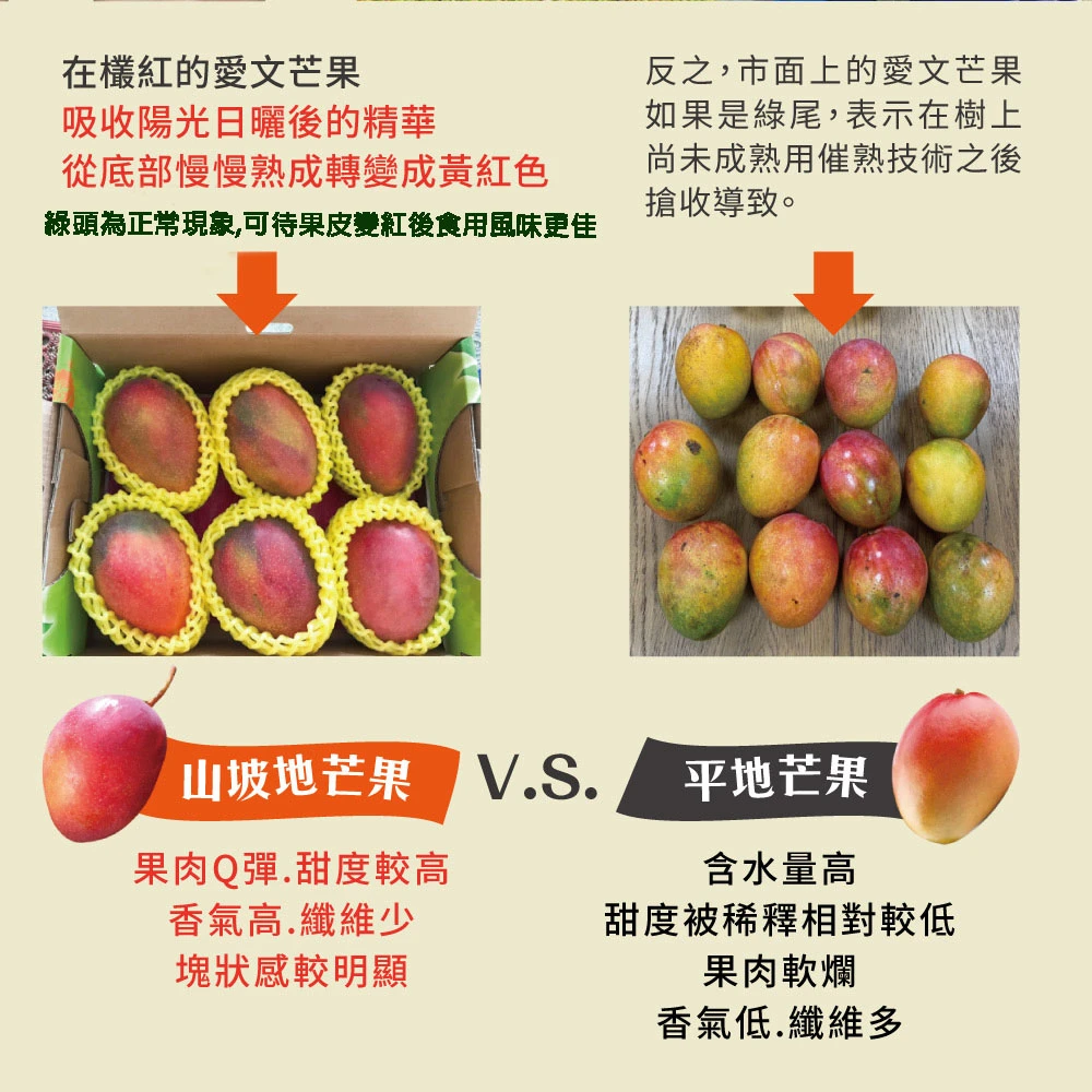 5/30-5/31脆友限定-楊忠憲愛文芒果(外銷大果) 10斤12-16顆x1箱