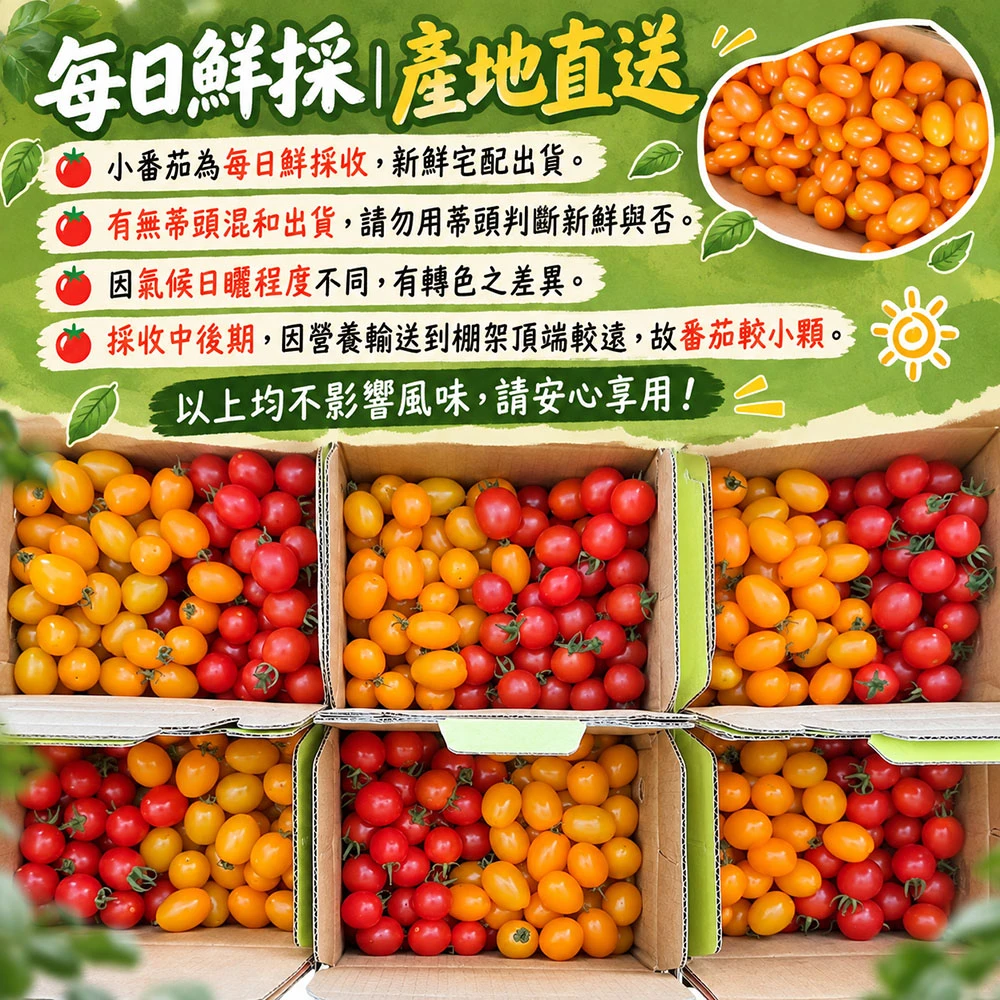 高雄美濃雙色橙蜜小番茄禮盒3斤  1盒/2盒/4盒/8盒 預購12/15開始陸續出貨