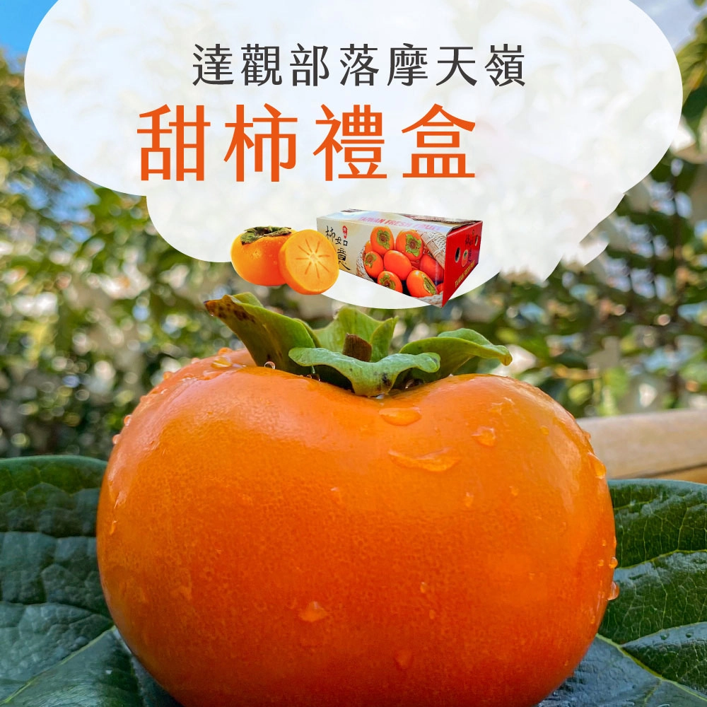 達觀部落甜柿禮盒 預購8/21開始陸續出貨