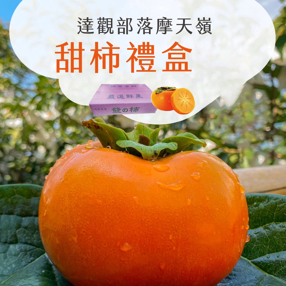 達觀部落甜柿大禮盒  預購8/21開始陸續出貨