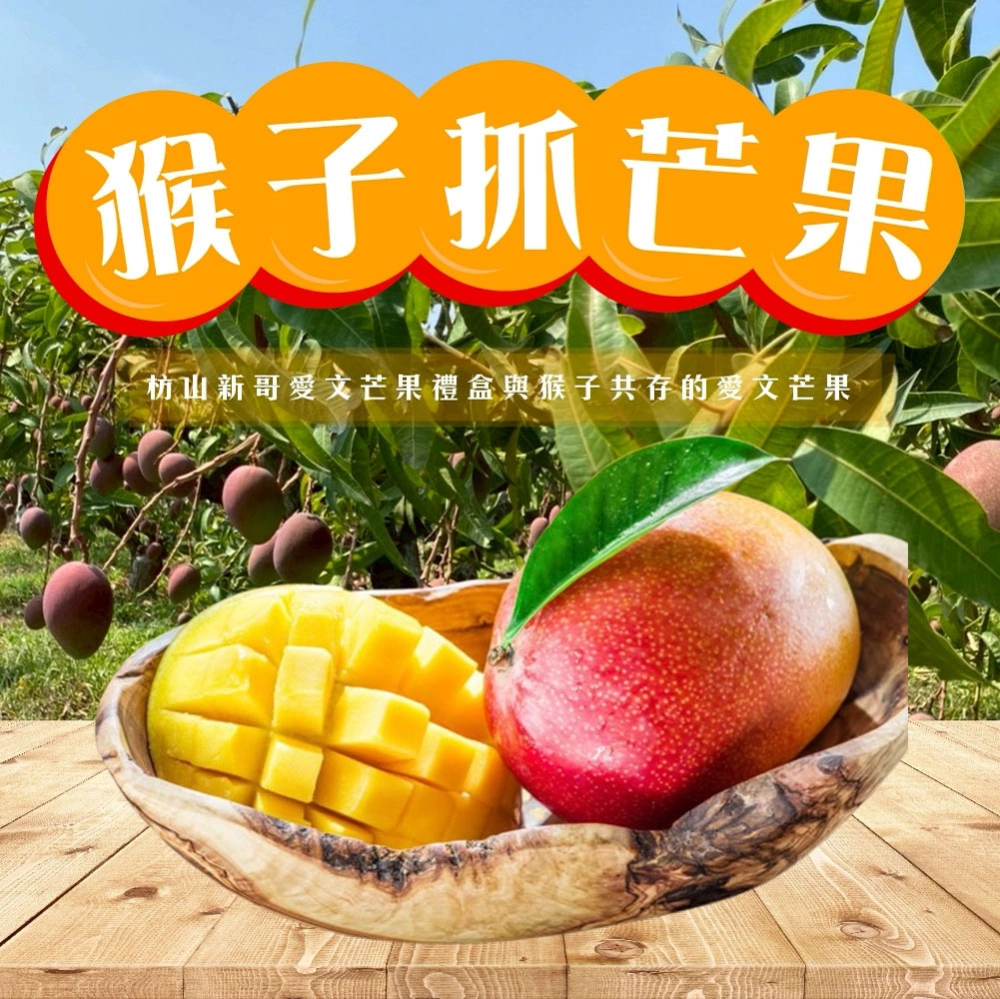 與獼猴和平共存的芒果【猴仔抓芒果】屏東枋山愛文芒果禮盒  4斤/8斤 (6/8-6/15陸續出貨)