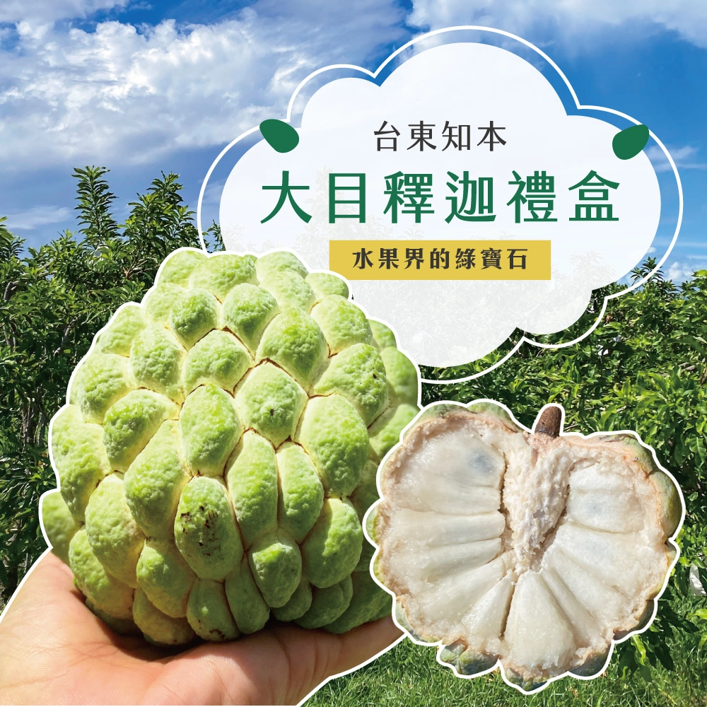 【降價挺一波】台東知本大目釋迦禮盒 下單後D+7工作天出貨