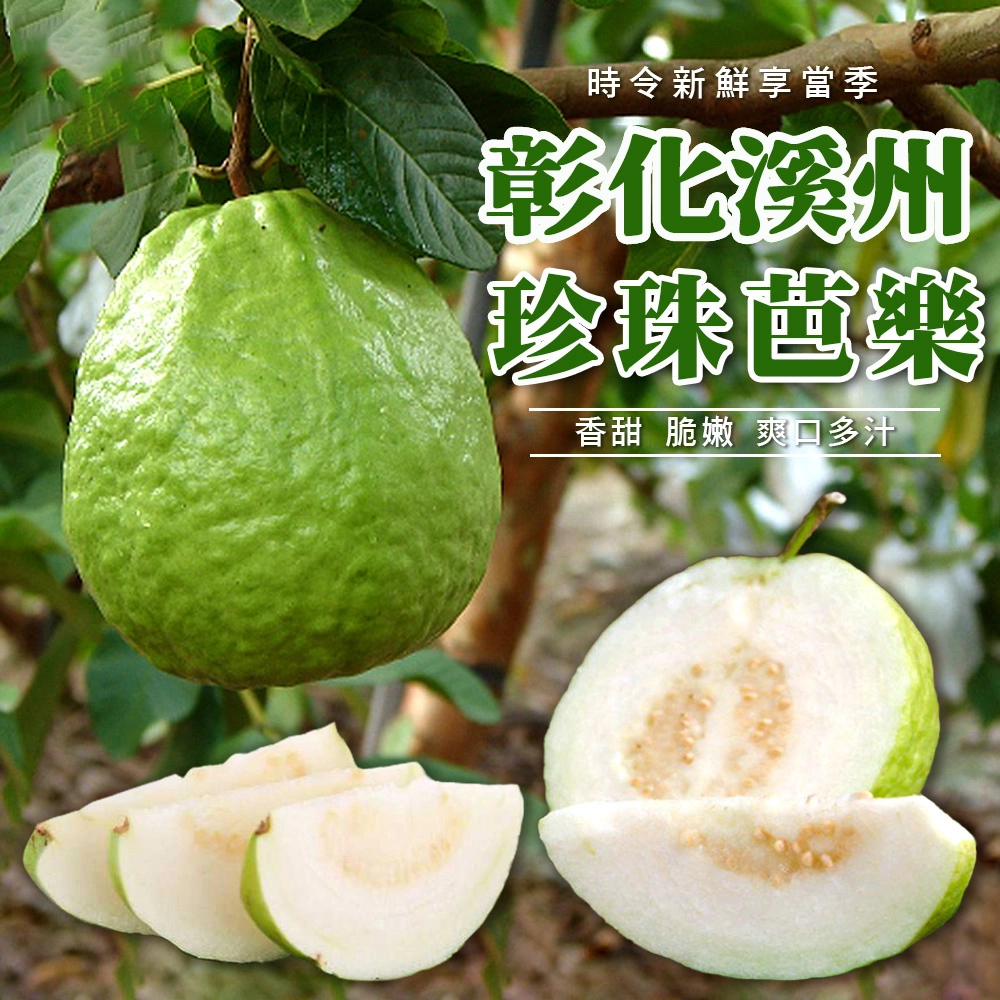 彰化溪州珍珠芭樂禮盒5斤6-10顆(冷藏配送)