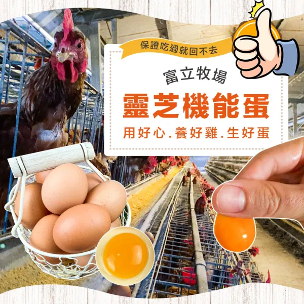 初品果x富立牧場 靈芝機能雞蛋白蛋/紅蛋/彩色蛋/30顆/60顆/90顆_48小時生產內的新鮮雞蛋