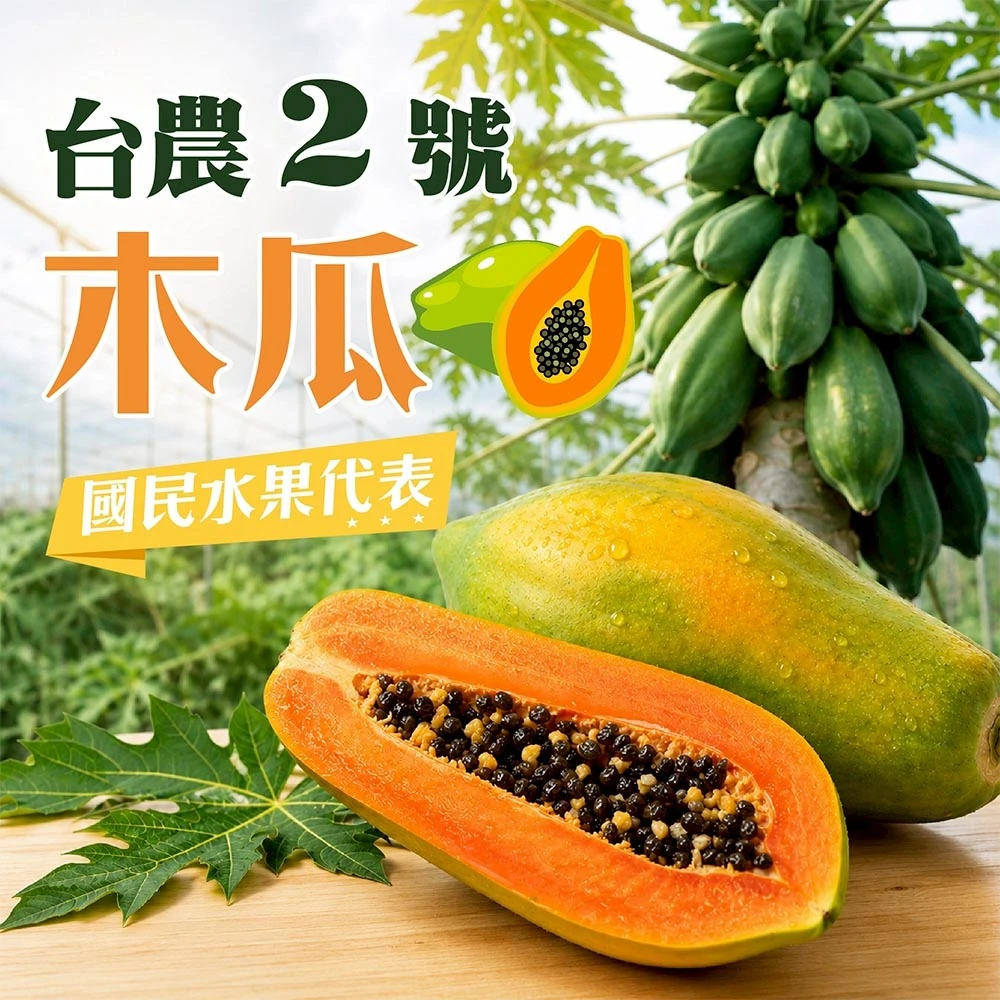 台農2號木瓜  6斤5-9顆 1箱/2箱