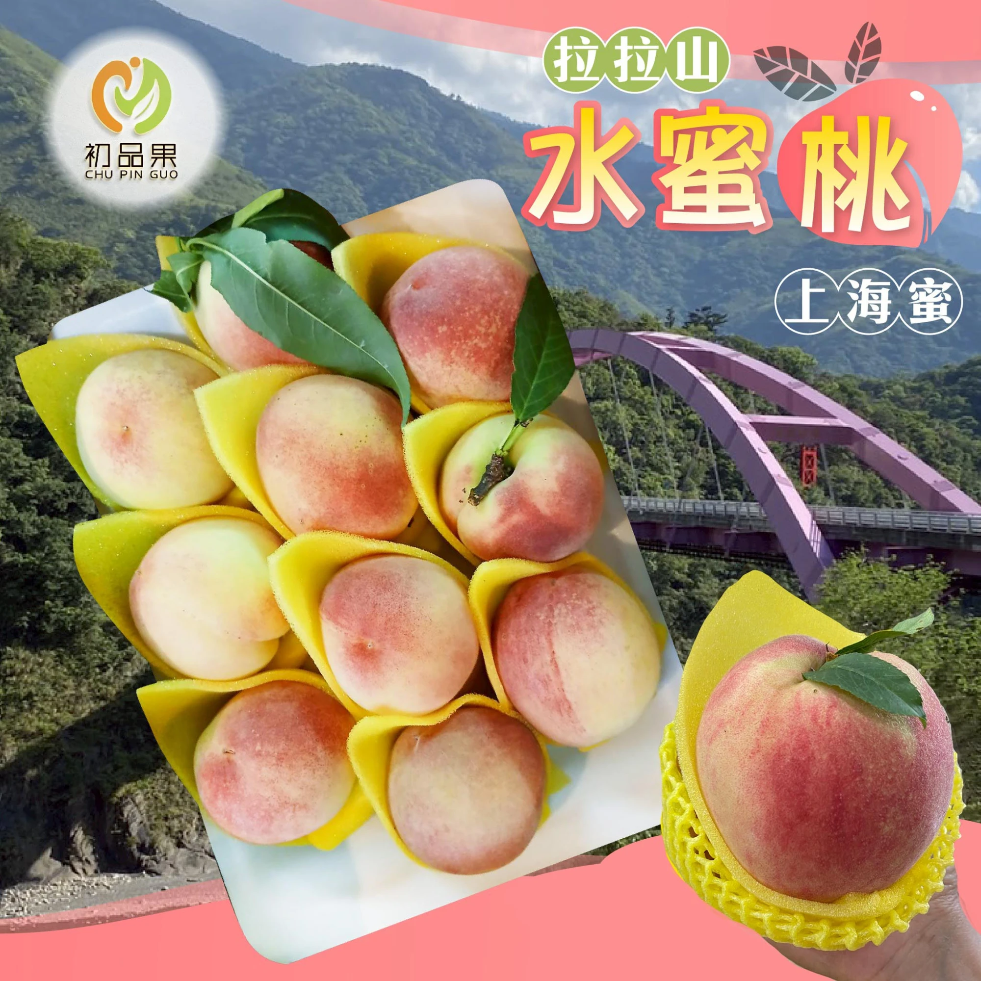 拉拉山上海蜜水蜜桃禮盒-預購D+7工作天出貨 最後接單8/10