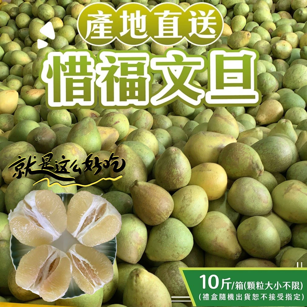 產地直送NG惜福文旦10斤