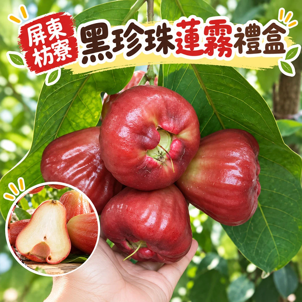 屏東枋寮黑珍珠蓮霧禮盒 3斤/4斤  1盒/2盒/3盒/4盒 預購12/15開始陸續出貨