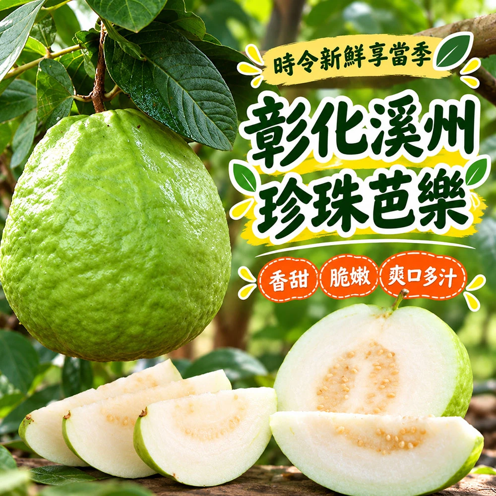 彰化溪州珍珠芭樂禮盒5斤6-10顆  下單後D+7工作天出貨