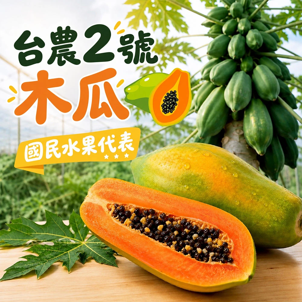 國民水果 台農2號木瓜  下單後D+7工作天出貨