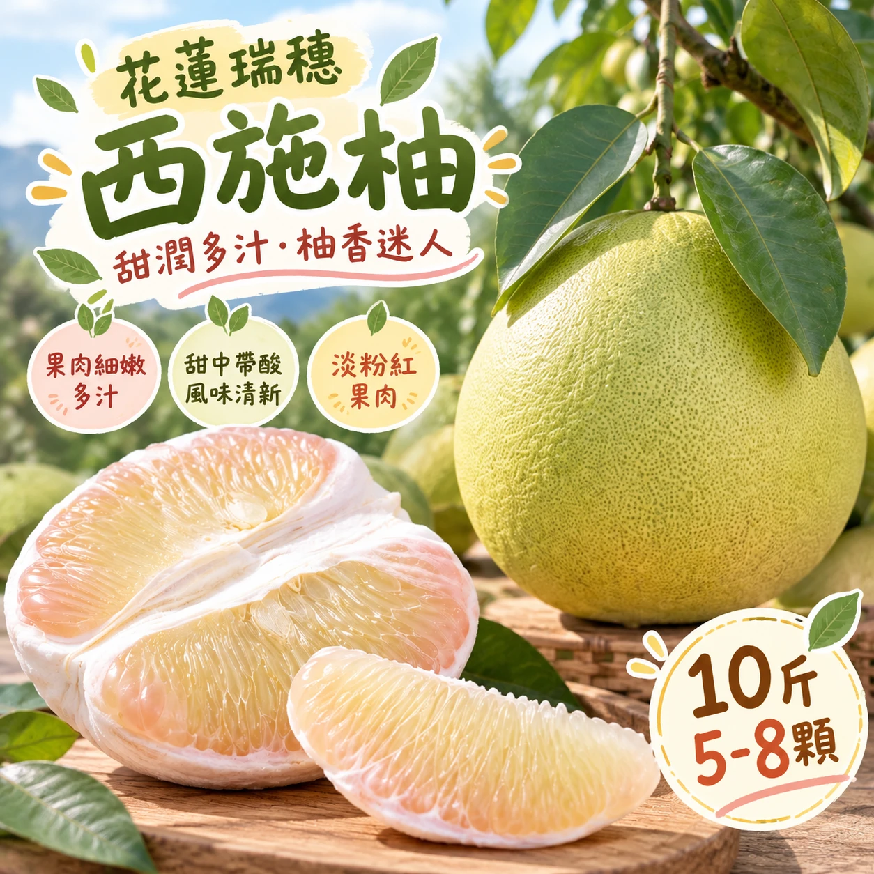 花蓮瑞穗老欉西施柚10斤5-8顆 